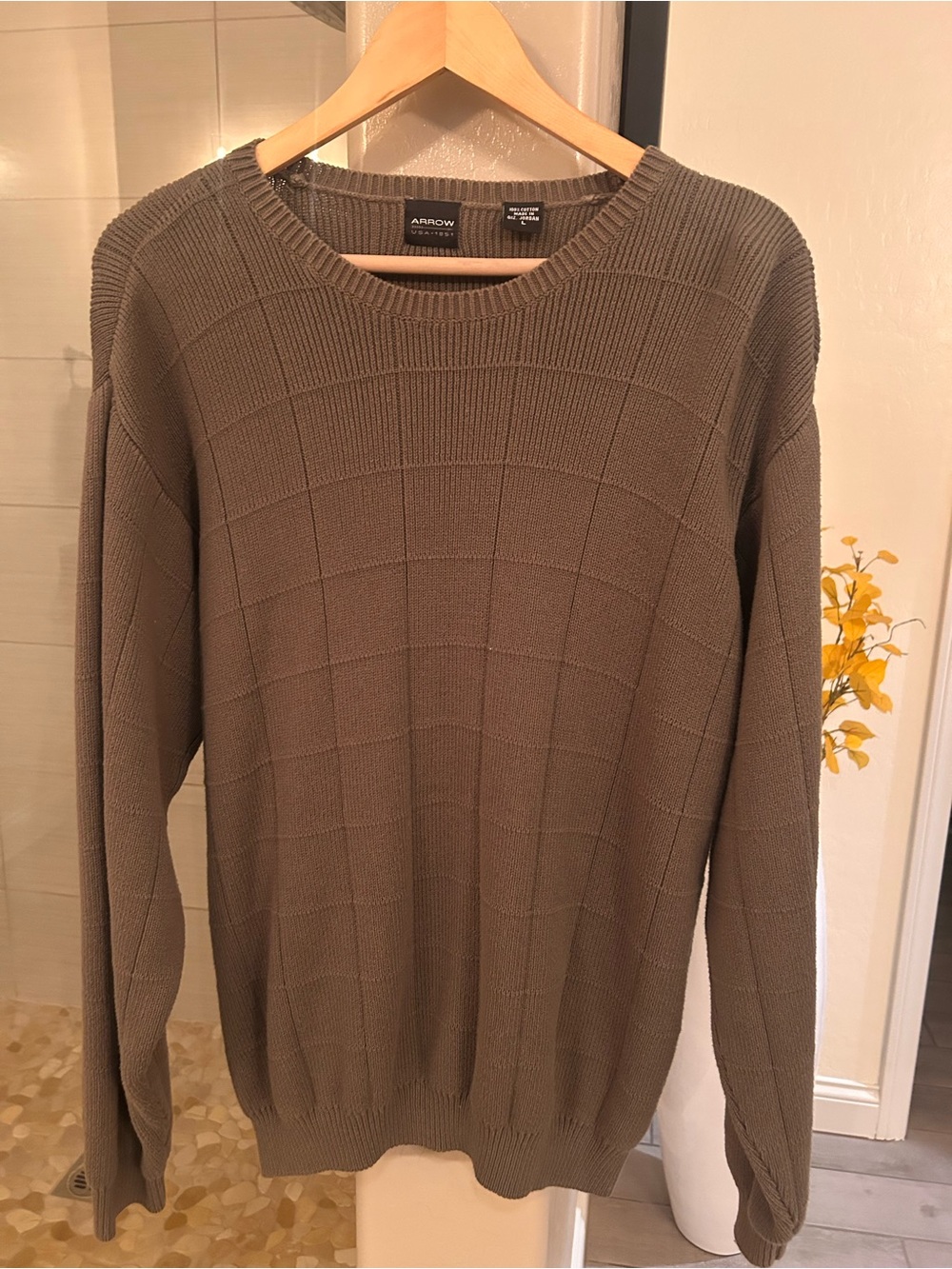 Arrow Men's Olive Crewneck Textured Knit Sweater